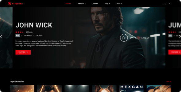 Streamit | Video Streaming Admin Template (VueJS, React JS, Laravel, HTML) + RTL